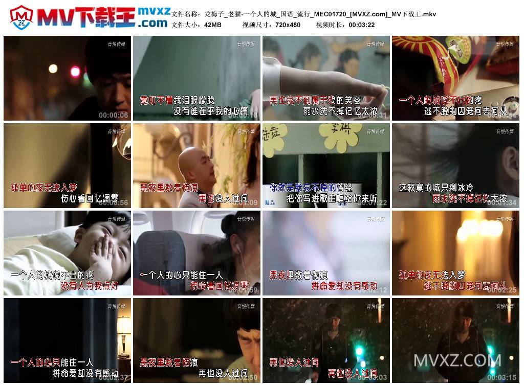 龙梅子_老猫-一个人的城_国语_流行_MEC01720